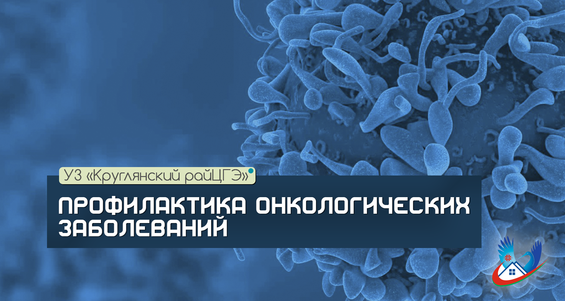 ПРОФИЛАКТИКА ОНКОЛОГИЧЕСКИХ ЗАБОЛЕВАНИЙ