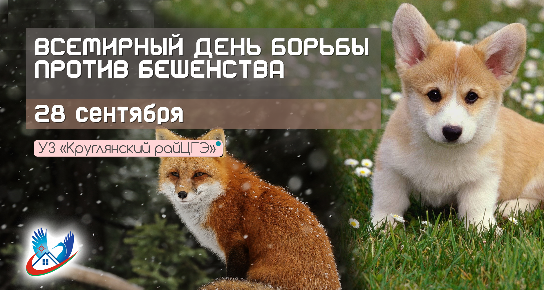 «Действуй сейчас: ты, я, сообщество» – тема Всемирного дня борьбы против бешенства в 2025 году