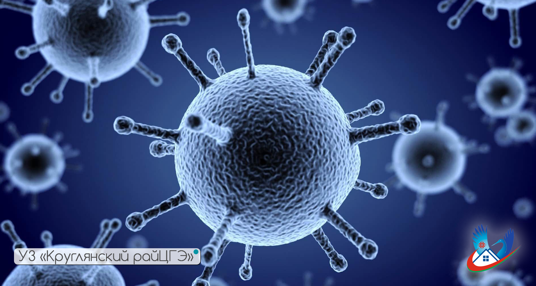 Профилактика инфекций, передающихся половым путем