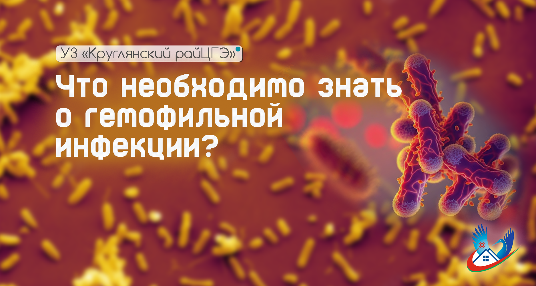 Что необходимо знать о гемофильной инфекции?