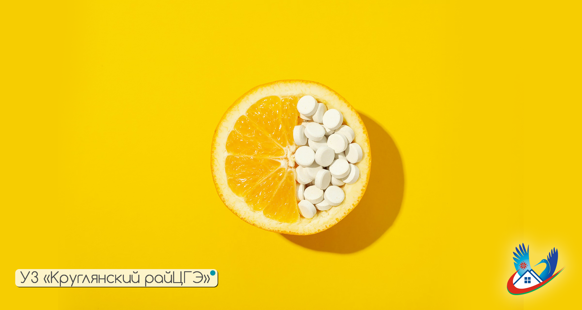 РОЛЬ ВИТАМИНОВ И МИКРОЭЛЕМЕНТОВ В ЖИЗНИ ЧЕЛОВЕКА