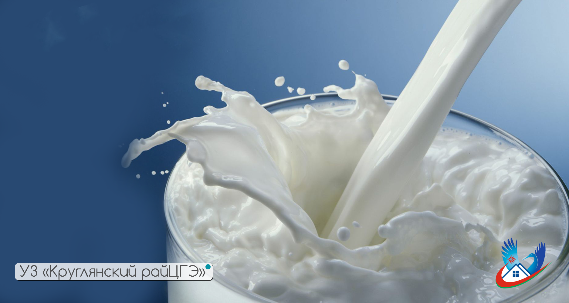 О пользе молока и молочных продуктов