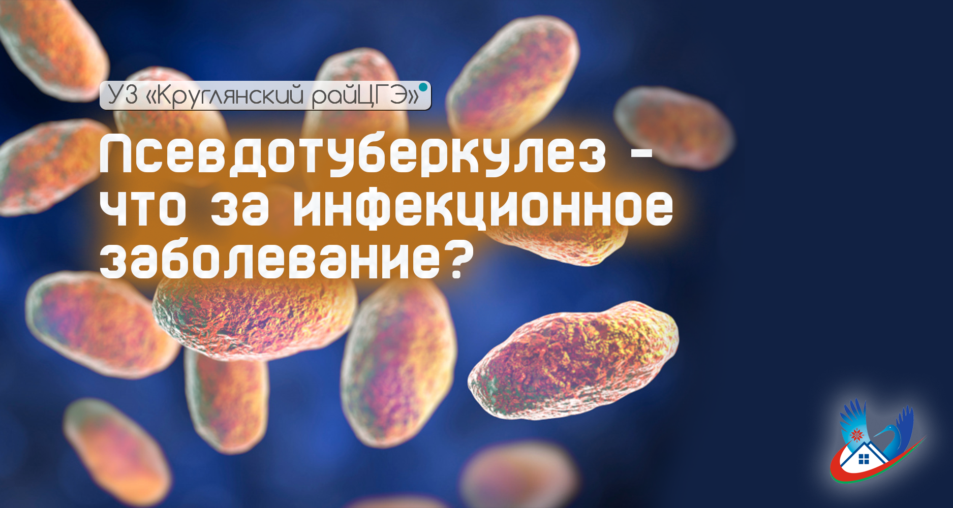 Псевдотуберкулез – что за инфекционное заболевание?