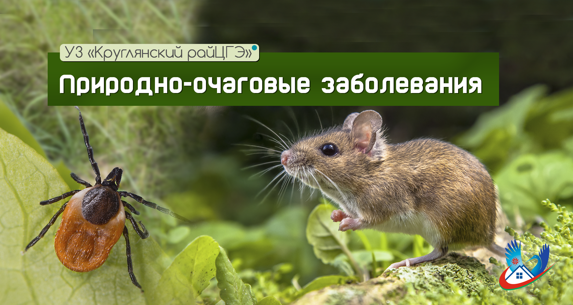 Природно-очаговые заболевания