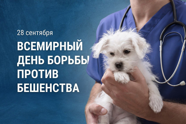 28 сентября отмечается Всемирный день борьбы против бешенства.
