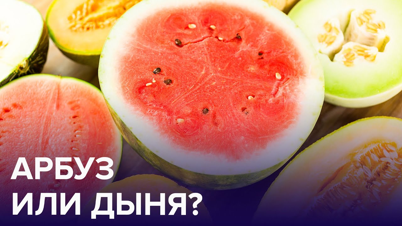 Арбуз или дыня: что полезнее и вкуснее.