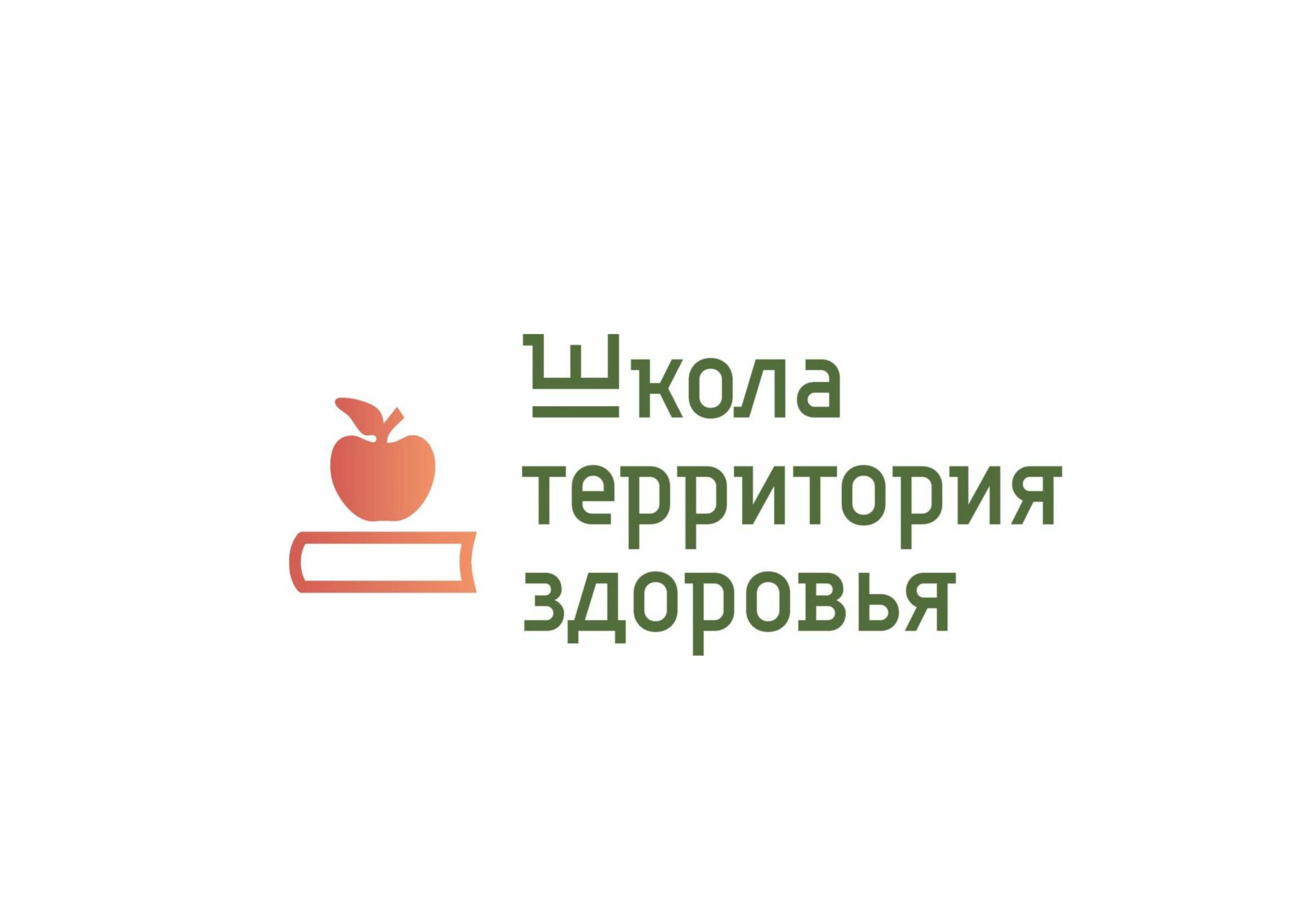 Профилактический проект «Школа-территория здоровья»