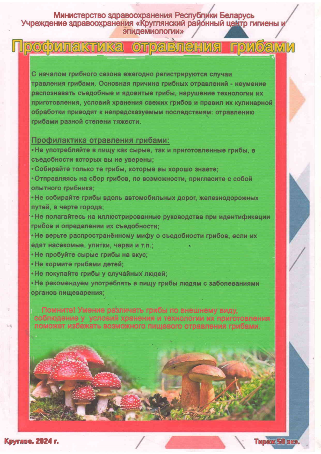 Профилактика отравления грибами