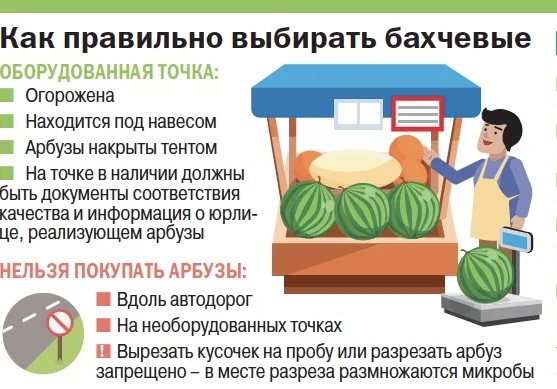 Как правильно выбирать бахчевые